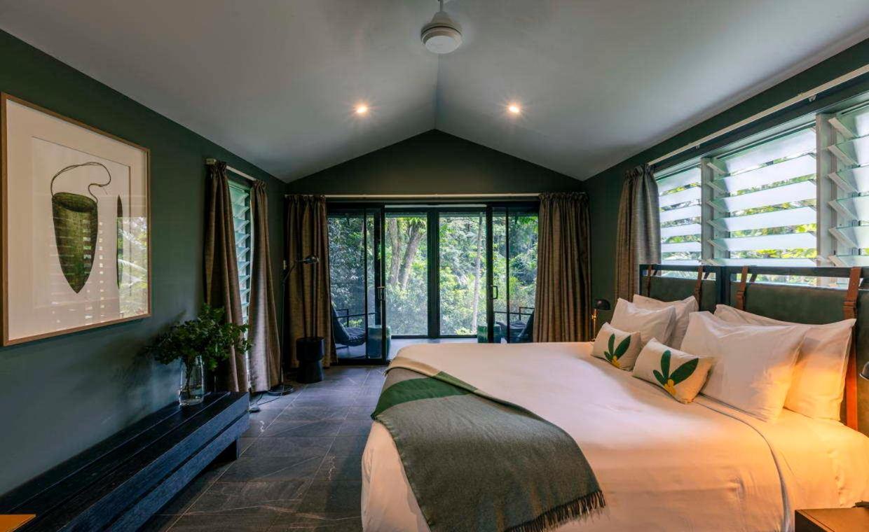 Daintree Ecolodge Exterior foto