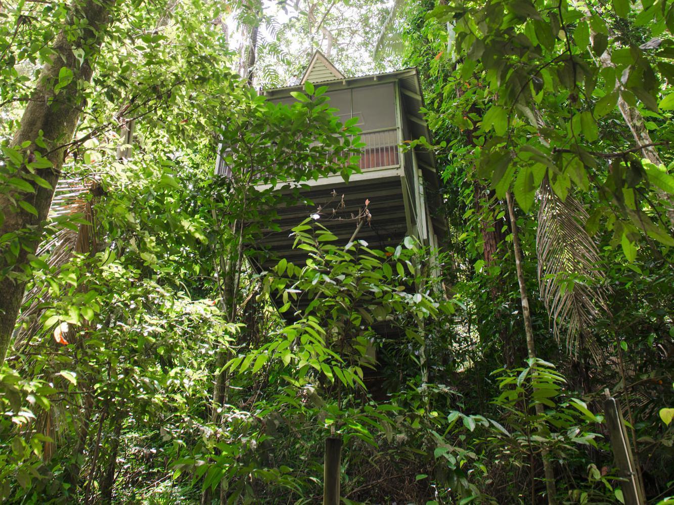 Daintree Ecolodge Exterior foto